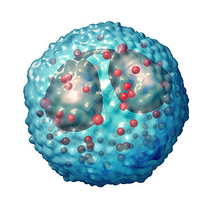 嗜碱性粒细胞发病与免疫系统和过敏或哮喘病作为解剖概念的3D说明有关骨蛋白血细胞过敏或哮喘病医疗的嗜酸设计图片