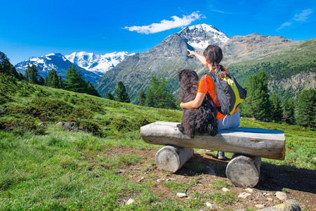 观看运动的步行女子在山上爬时休息夏天与他的狗一起观察现场图片