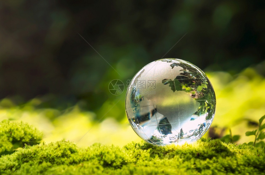 地球水晶玻璃落在有阳光的苔石上自然界中阳光照亮生态环境概念放弃森林反射图片