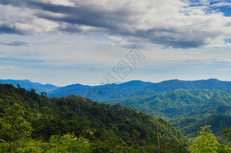 深的雨后热带森林越南谷图片