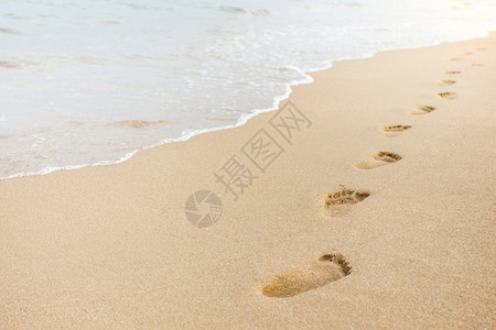 海滩背景沙上的脚印旅行记步图片
