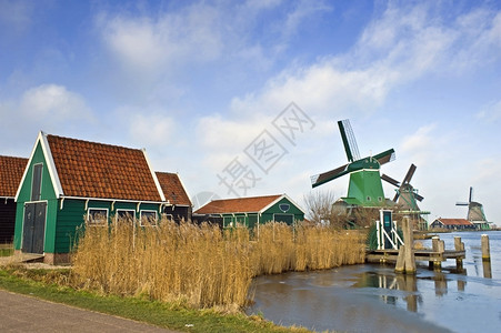一个古老的典型荷兰锯木厂在旅游景点德赞舍施恩斯吸引力历史原型图片