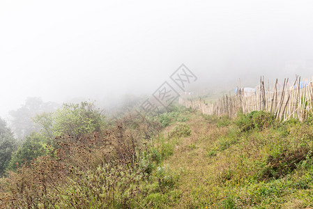 栅栏新鲜的光雾笼罩着点露营地附近的高山旅行图片