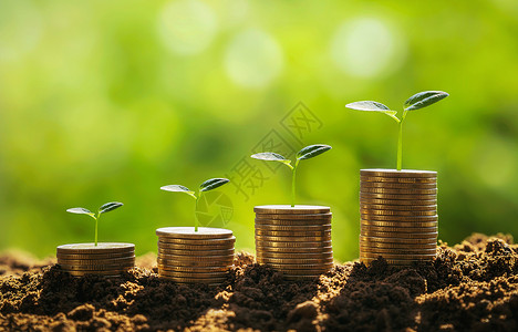 富有的财资金堆叠和小树种植的零木式概念融资和会计经济背景图片