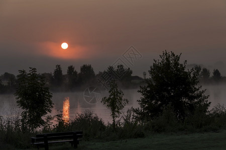 海岸清晨日出在林堡的马斯河上月亮在霍兰德与树雾和浓木宁静图片
