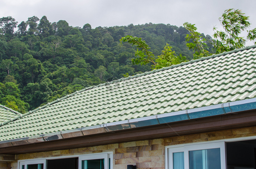 建筑学的户外绿色瓷砖屋顶和有山的天空图片