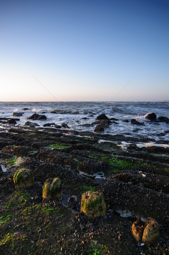 明亮的海滩地平线沙日落前方有岩石图片