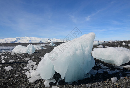 湖冰岛黑沙滩上的Iceburgs冰冷贝格图片