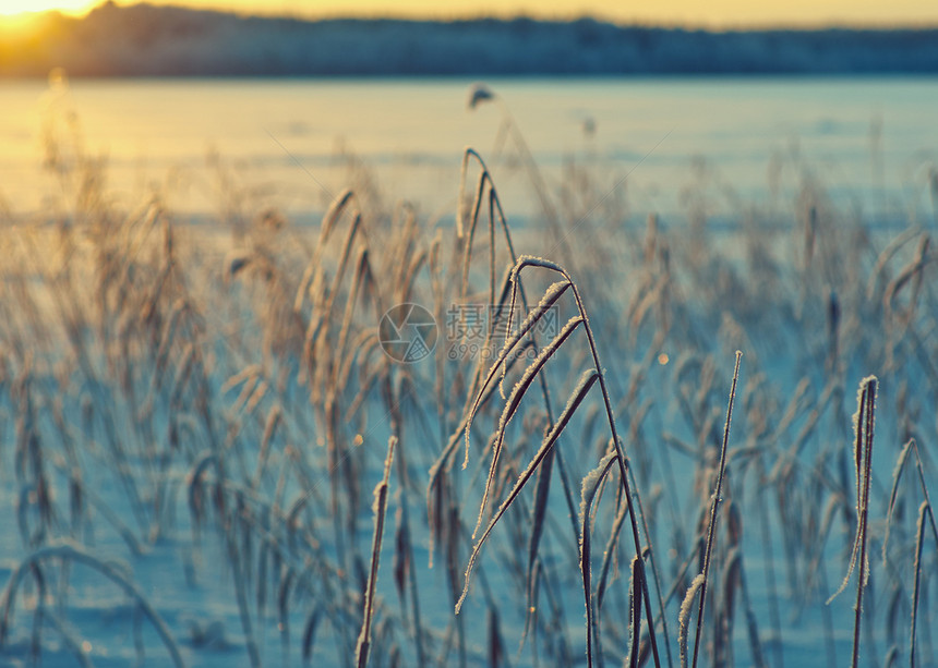 湖寒冬美丽的圣诞风景雪在夕阳下落浅地深处日落户外图片