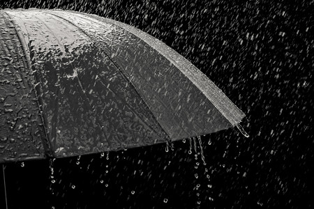 溅黑色背景的雨和伞淋浴天图片