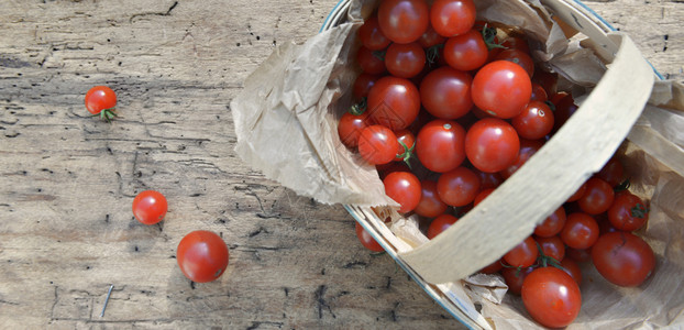 切樱桃番茄收割在木制桌上放小篮子收成花园桌图片