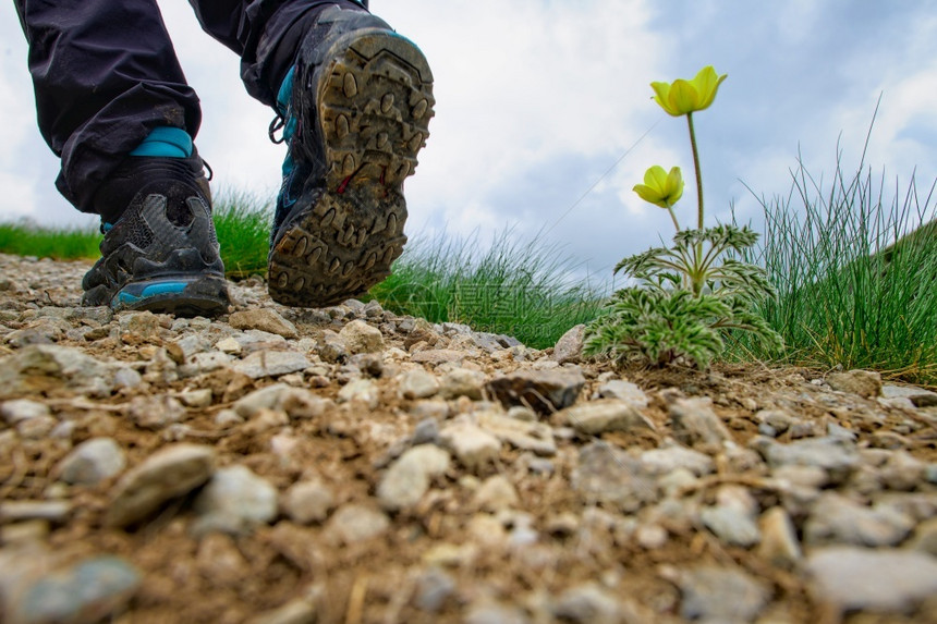 跑步北欧的山丘足迹和鞋贴在一朵花旁行走脚丫子图片