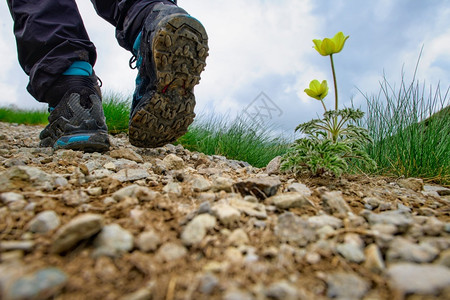 跑步北欧的山丘足迹和鞋贴在一朵花旁行走脚丫子图片