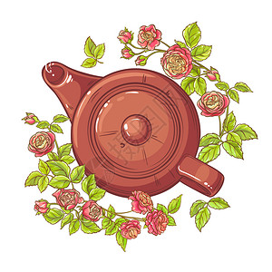 茶壶叶中的玫瑰插图白色背景的玫瑰茶叶插图花束喝白色的图片
