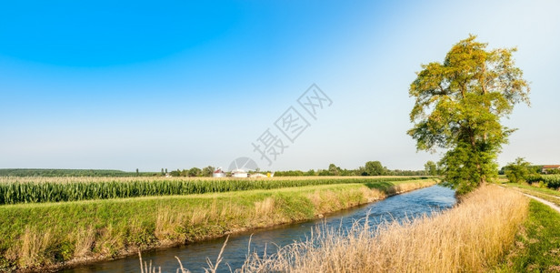 当代的玉米种植树木河流和田地的农业景观将庄夷为平地乡村的图片