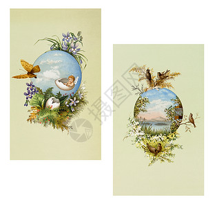 宝马X5插图卡片用羽毛和鸡蛋3x5英寸绘制复活节明信片标签插画
