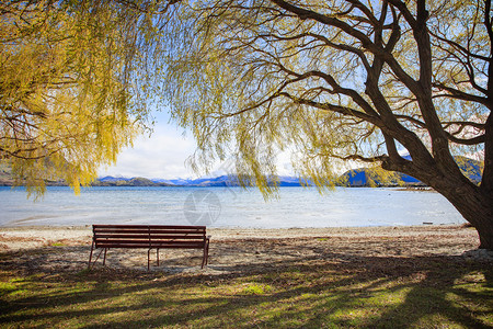 天空树华纳卡湖的美丽风景新西兰重要旅游目的地西新水图片