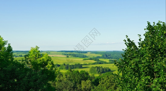 自然空气天夏季中观察农村地貌图片