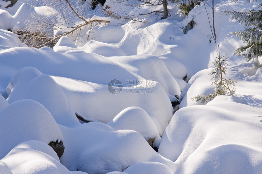 冬天的雪地图片