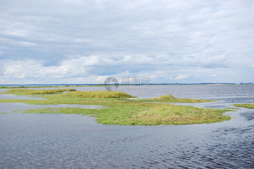 草原生态系统波罗的海瑞典群岛奥兰的绿色沿海沼泽地北风景优美图片