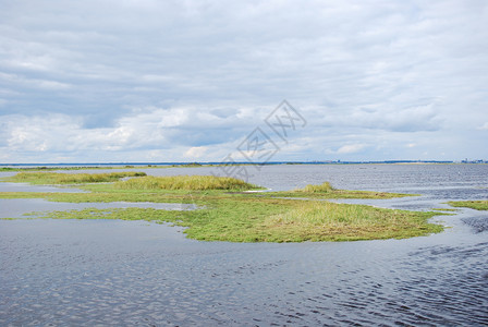 草原生态系统波罗的海瑞典群岛奥兰的绿色沿海沼泽地北风景优美图片