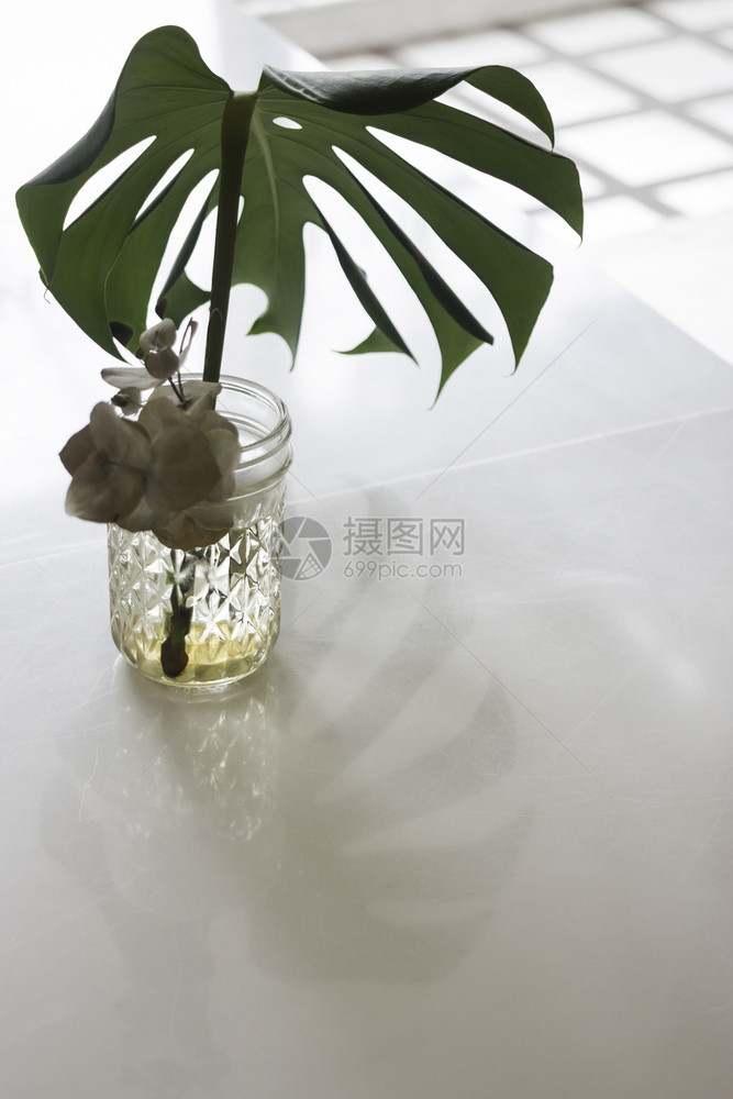 敬畏绿色植物假在花瓶中舒适的室内概念库存照片自在空的图片