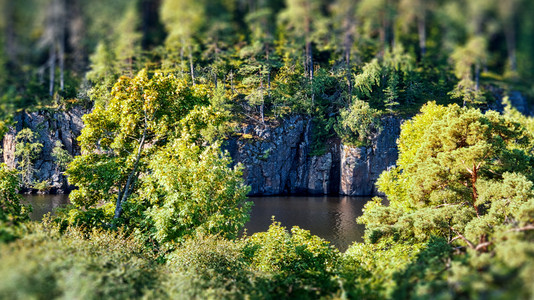 岩石海岸的风景树上长着木斜坡效应悬崖户外斯堪的纳维亚语图片