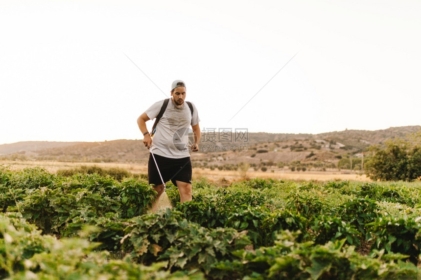 庄稼男农民在作物上喷洒有机除草剂化学图片
