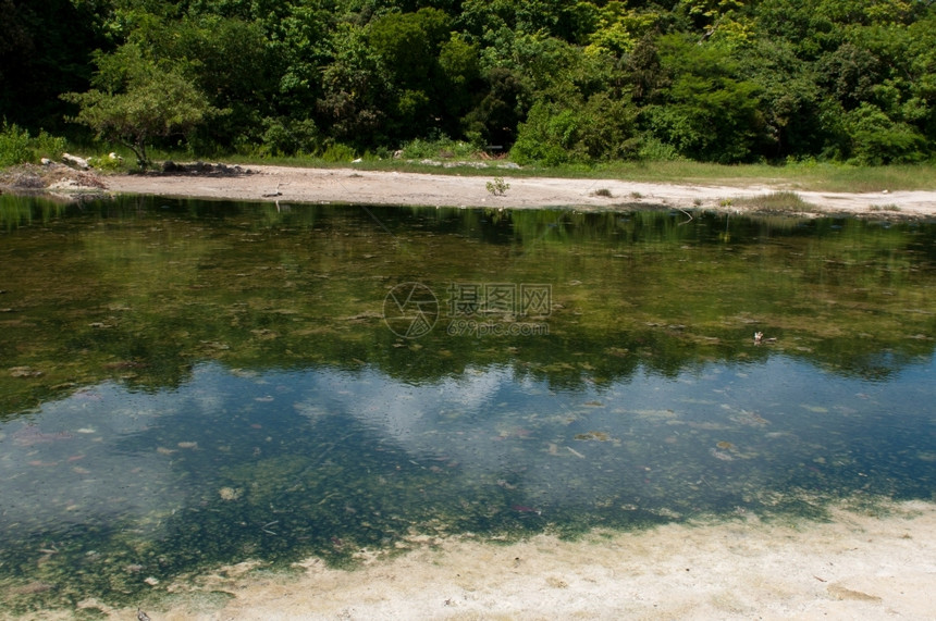 野生草地湖泊图片