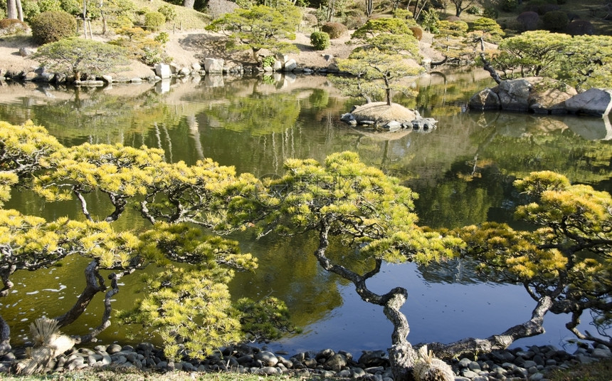 日本花园有湖泊岛屿水和树木阿尔滕堡阳光照射木头图片