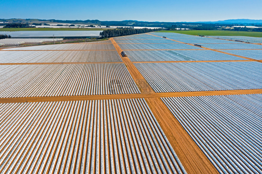 行业农场颜色来自葡萄牙农村草莓植物的空中飞行机来自葡萄牙图片