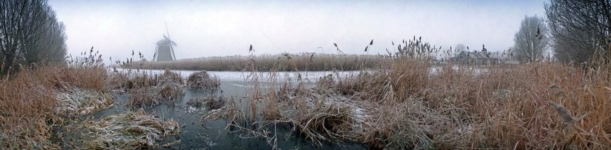 早晨荷兰冬季厨房的风车农场和冷冻运河在寒的清晨全景象黑暗芦苇图片