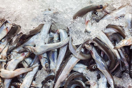 海鲜生的西沙摩鱼被冰冻着保持白色的图片