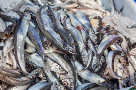 鲜生的西沙摩鱼被冰冻着一顿饭团体餐厅图片
