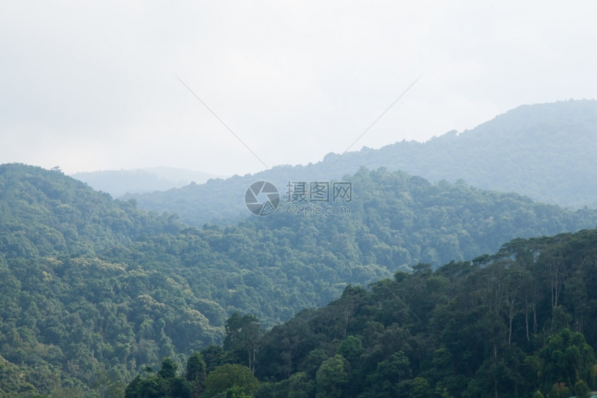 绿色有雾早晨森林和山岳被庄稼所覆盖的山岳墙纸图片