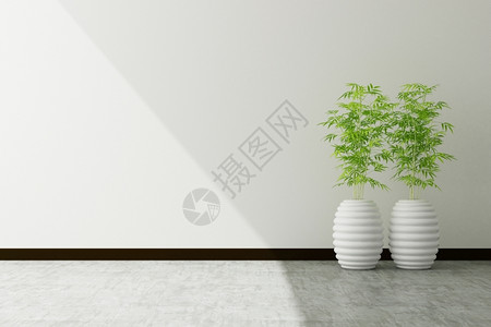 家花瓶渲染室内装饰的树木锅和白墙图片