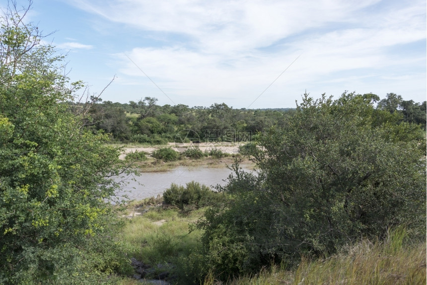 游戏国民非洲南部Kruger公园大象河绿色图片