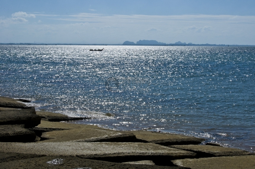 有关泰国贝壳化石海滩的详情石化景观动物图片