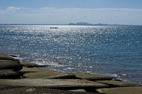 有关泰国贝壳化石海滩的详情石化景观动物图片