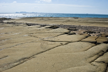 石化的质地有关泰国贝壳化石海滩的详情图片