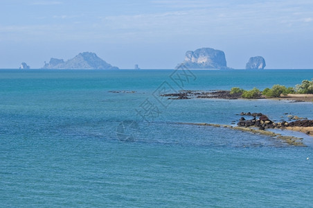 质地海洋有关泰国贝壳化石海滩的详情甲米图片