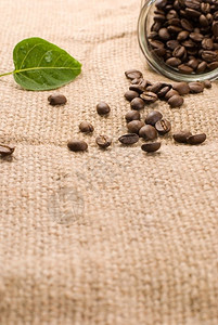 咖啡豆和绿叶图片