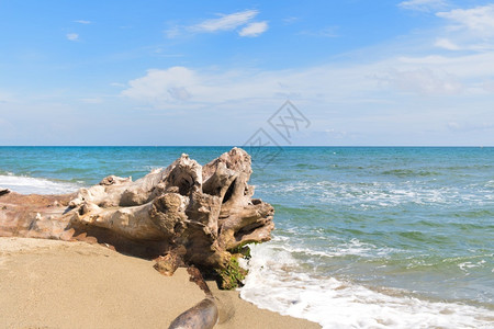 莫迪法属科西嘉海岸景观波浪图片