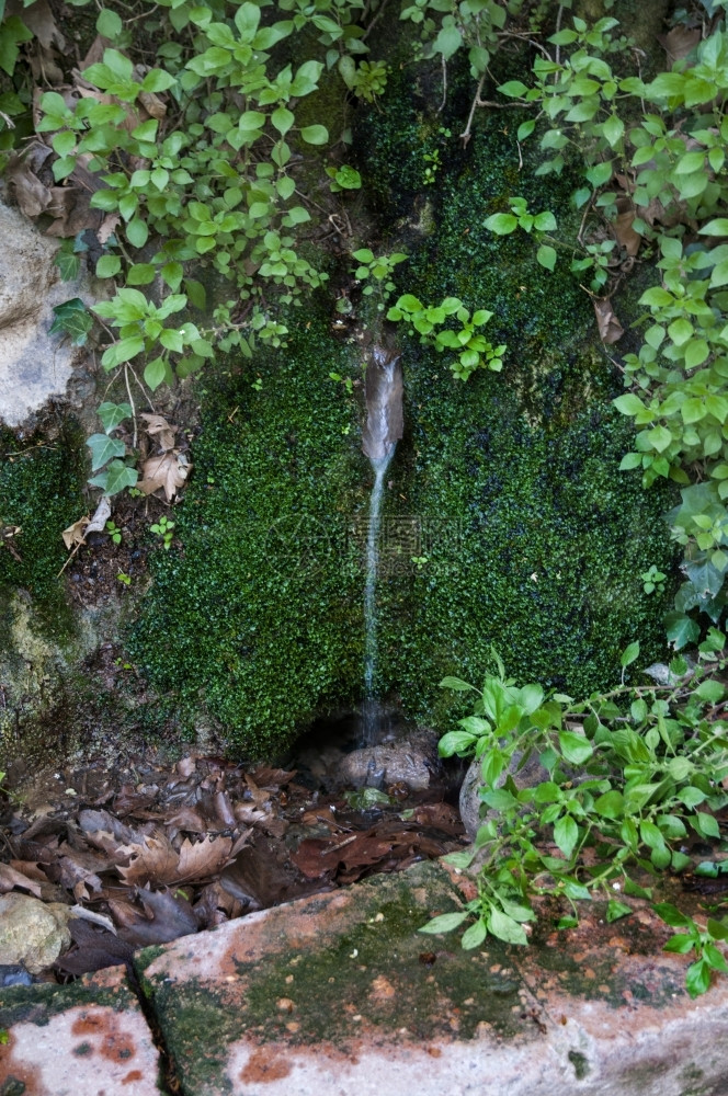 流动绿色山中非常淡水的自然来源资由山中流出地下水图片