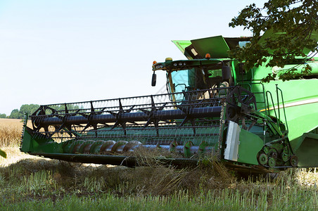 植物农业机械在田间作谷物收割机在田间作业农用地加里宁格勒小麦图片