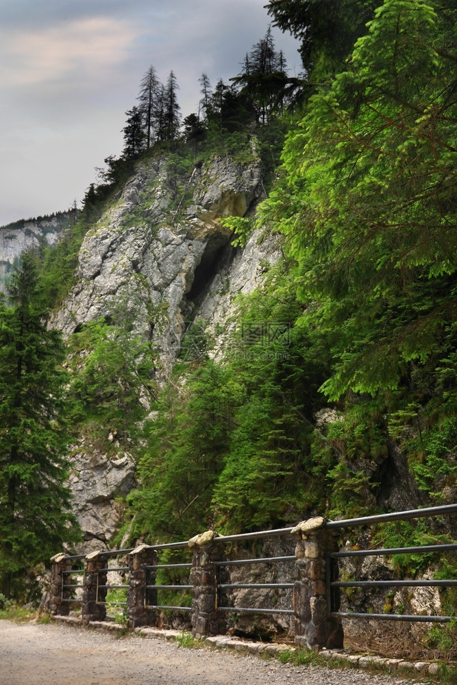 穿过波兰塔特拉山DolinaKoscieliska河谷欧洲悬崖风景优美图片