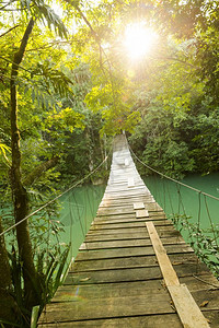 自然在丛林河上挂着的黑色木桥作为探险旅行场景发现风优美图片