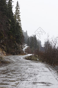 户外浑风景优美在阿拉斯加海因附近的道尔顿路上起的吉普车轨图片