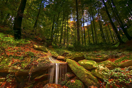 多色的秋天自然与瀑布和叶高清图片