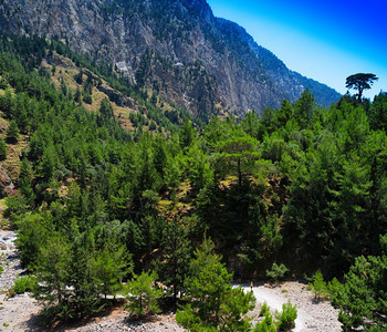 清除水平生动的戏剧夏山风景背水平生动的戏剧夏山风景背目的假期图片